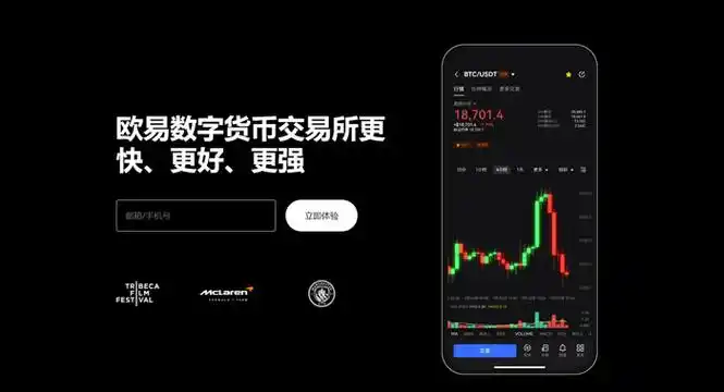 oe平台注册入口系统展示图